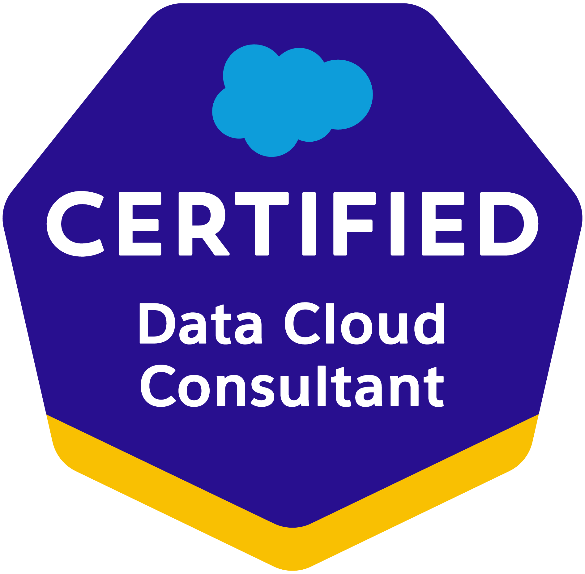 Salesforce Data Cloud Consultant